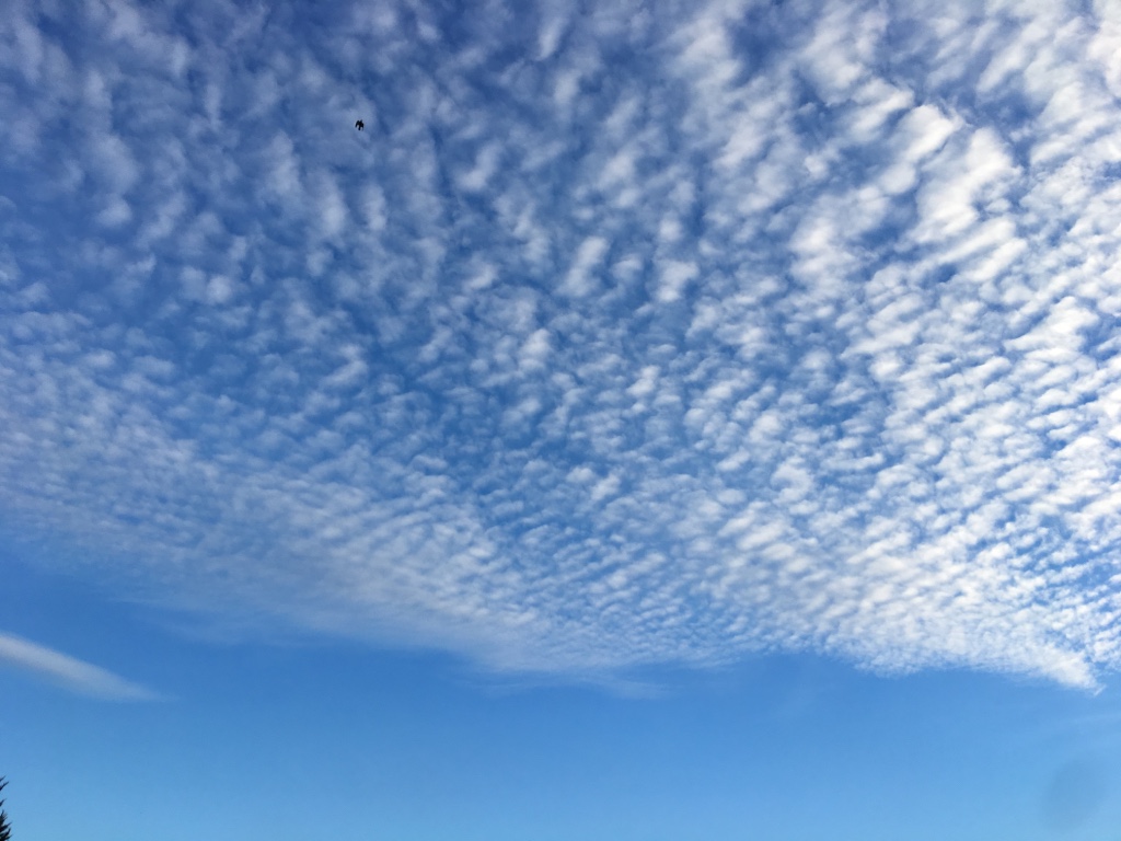 ciel2